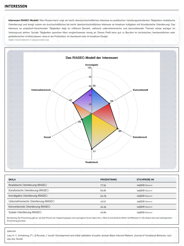 Screenshot des PDF-Berichts mit Interessenprofil
